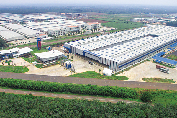 Folha Verde Shaanxi Co.,Ltd